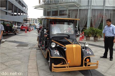  湖南益阳电动观光游览车